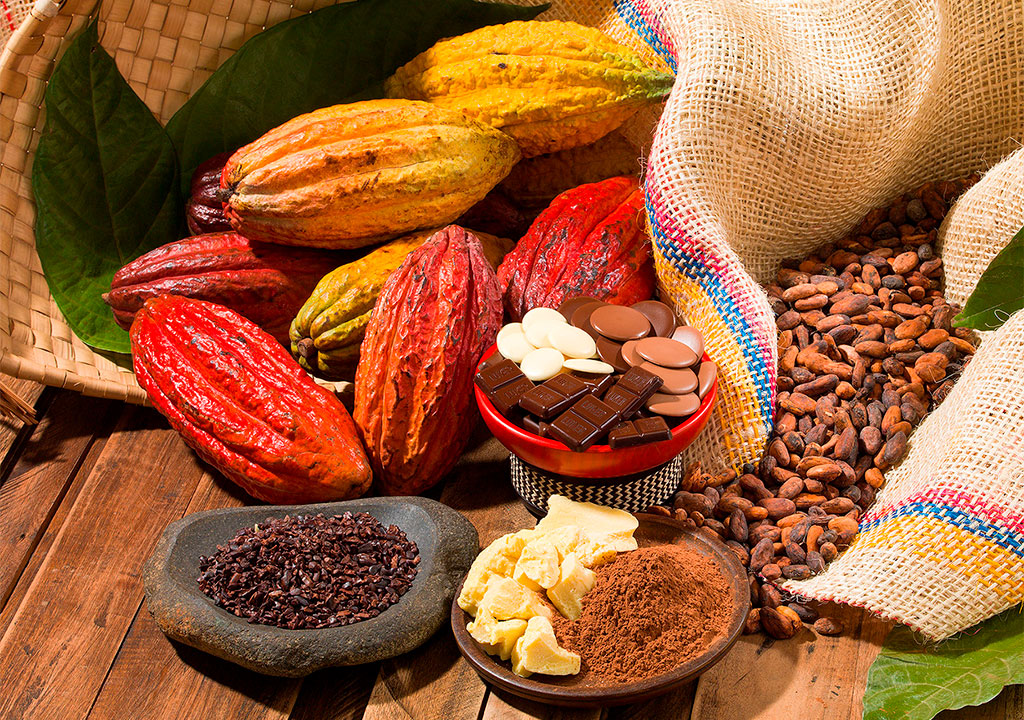 Cocoa Prices Rising: Understanding the Global Market Shifts